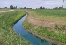 Hydrometra, quattro modi diversi per rispettare l’acqua