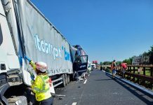 A22, tamponamento tra camion: carreggiata chiusa e lunghe code