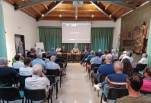 Pioppicoltura: futuro del settore da sviluppo economico e sostenibilità ambientale