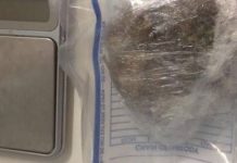 Droga e bilancino di precisione in casa: arrestato un 21enne di Suzzara