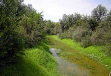 Domenica 23 giugno “Tutti a Po” al Parco San Colombano di Riva di Suzzara