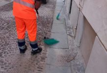 Una task force per la disinfestazione in città