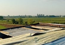 Castel d’Ario colpita dal maltempo