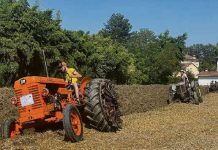 Gara di aratura, vittorie “made in Marcaria”