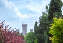 Estate al Parco Giardino Sigurtà tra fiori fantastici aspettando gli appuntamenti di agosto