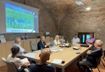 Parco del Mincio, lavori per 2,5 milioni di euro