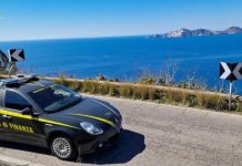 Mantovano sbarca a Ponza e ci trova i cani anti-droga