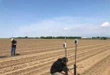 Filiera del tabacco, BAT Italia lancia WePlant