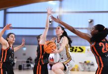 Basket A2 femminile – San Giorgio si prepara per il test con Cavezzo. Cremona: “Iniziamo a conoscerci” sangio