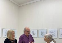 “Wunderkammer” alla Sartori