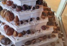 Visita guidata alla Specola del Liceo “Virgilio” di Mantova