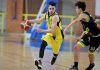 Basket Serie C – Viadana, ultima amichevole col Piacenza caccia3_3245893