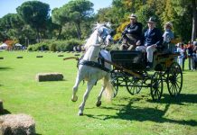 Viaggio nel 1800 al Parco Sigurtà