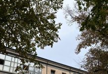 Festa per i 100 anni del Liceo Artistico Giulio Romano