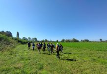 Canneto: torna “Il verde del futuro”, finestra su vivaismo e ambiente