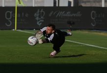 Calcio Serie B – Marco Festa: “Mantova, il nostro gioco ci condurrà alla salvezza” Marco Festa