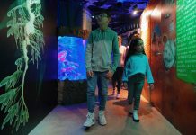 Gli illusionisti del mare a Gardaland Sea Life Aquarium