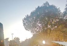 Mercatini di Natale, ed è subito boom