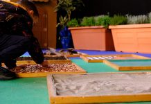 Il mondo visto con gli occhi dell’arte e del dialogo, nel Festival Segni