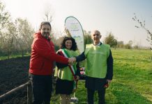 Mille alberi al Parco Laghi Margonara a Gonzaga