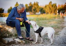 Gestione dei comportamenti indesiderati: ecco cosa fare