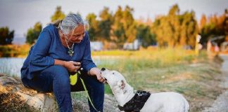 Gestione dei comportamenti indesiderati: ecco cosa fare