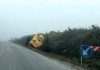 Nebbia fitta: camion carico di mangime finisce fuori strada