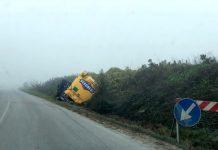 Nebbia fitta: camion carico di mangime finisce fuori strada