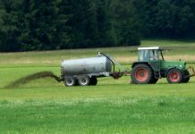 Spandimento liquami, Carra (PD): non può essere un algoritmo a governare queste scelta, l’ assessore regionale ascolti gli agricoltori