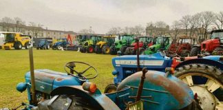 Fiera di San Martino: 4 giorni di festa La novità è l’osteria del fungo pioppino