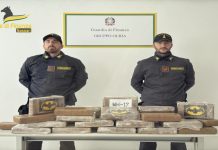 Sequestro record di cocaina al porto di Olbia, arrestato corriere