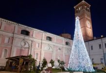 A San Benedetto un albero di Natale “ultrasostenibile”