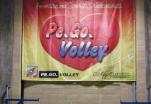 Pallavolo serie D f – Comparsi: “Pe.Go in crescita. Mirino sul derby col Piubega”