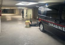 Carabinieri del Ris con unità cinofila a Suzzara: al setaccio il garage e l’abitazione della vittima