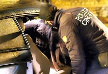 Stroncato traffico di droga a Caltanissetta, 8 misure cautelari