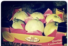 Festa sabato a Santa Croce di Sermide per il nuovo shop della Nadalini/Op Ortofruit