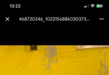 Judo – Mirco Bettelli sempre più in evidenza