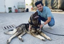 Quattro anni di motivazioni di razza: un lungo viaggio tra i nostri cani