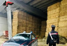 Tragedia a Casatico di Marcaria: muore a 27 anni travolto da una rotoballa