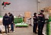 Operai in nero e clandestini: 40mila euro di multa e attività sospesa per un 42enne cinese