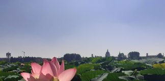 Questa sera a san Giorgio si parla del territorio del Parco del Mincio