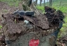 Rifiuti pericolosi interrati in un boschetto a Correggio Micheli