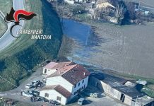 Recuperate dai carabinieri armi e droga durante l’operazione del “pastore di Corleone”