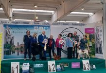 Expo canina, partenza col botto