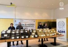 Blitz al porto di Genova, sequestrati 240 chili di cocaina