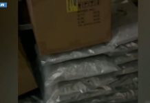 Torino, maxi sequestro stupefacenti. Oltre 110 kg di marijuana e hashish