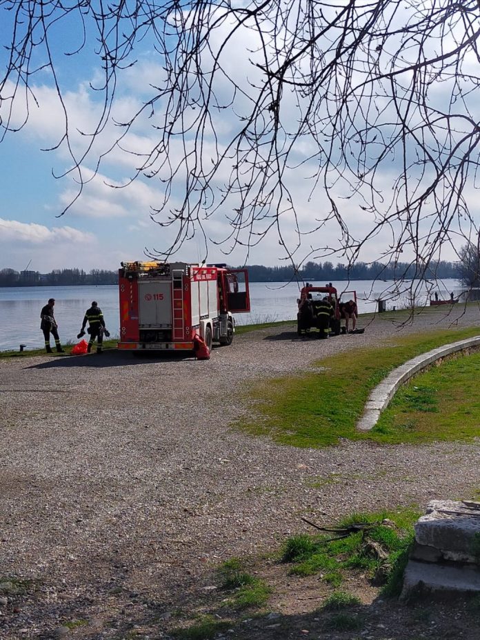 d7d84155-c6cf-4aba-b9fc-84e698ff9604