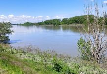 Mica poco la piena del Po che porta le favole nella golena