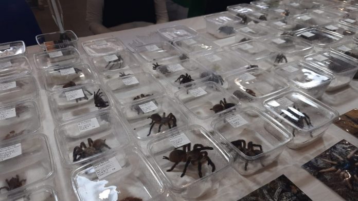 WhatsApp Image 2025-04-12 at 18.33.27