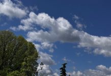 In 13 mila alla mostra dei vini e dei passiti di Volta Mantovana